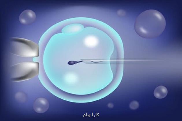 بهره برداری ۱۵ مرکز درمان ناباروری از تراشه های جداساز اسپرم